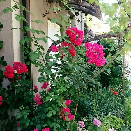 Guest house гостевой дом 